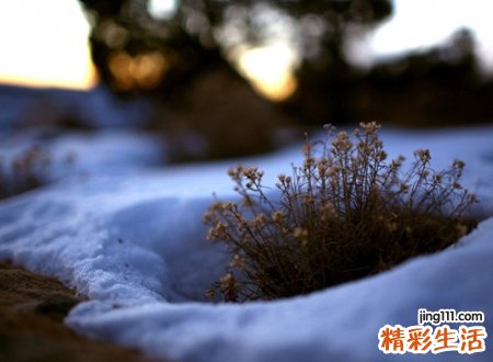 伤感qq昵称，最新好听的伤感qq名字