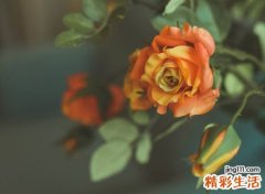 qq好听网名，最新好听的qq好听昵称