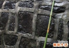 梦见狂风暴雨预示什么，女人梦见刮狂风暴雨