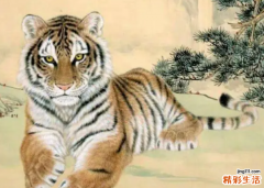 属虎人一生佩戴什么好 属虎人一生最大的贵人