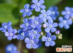 四个字的网名，最新好听的四个字昵称