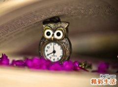 宠物名字大全，最新好听的宠物昵称