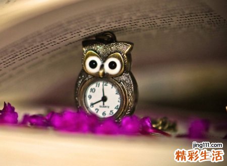宠物名字大全，最新好听的宠物昵称