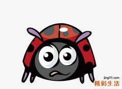 梦见虫子预示什么，做梦梦到好多小虫子爬在我身上
