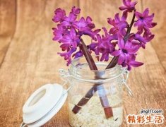 伤官见官八字必须有财星 八字里无官星走伤官大运