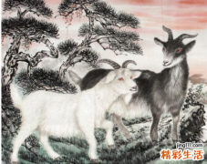属羊的六个合贵人 属羊的和什么属相最配