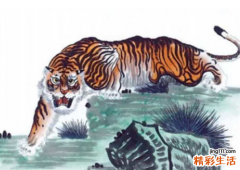 属蛇和属虎的合不合属蛇的和什么属相最配
