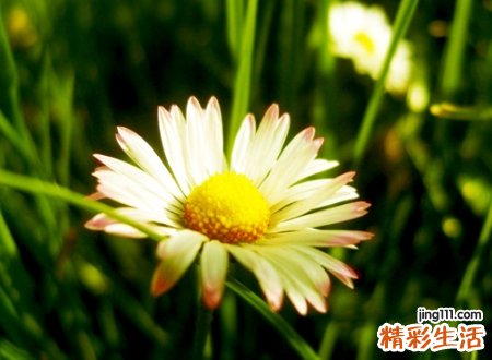 非主流四字网名，最新好听的非主流四字昵称