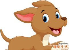 梦见狗有什么寓意，做梦梦到狗没咬人