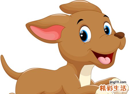 梦见狗有什么寓意，做梦梦到狗没咬人