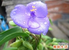 起个好听的网名，最新有个性的昵称