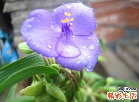 起个好听的网名，最新有个性的昵称