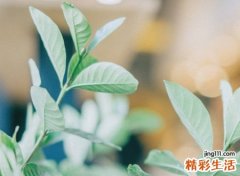 好看的qq网名，最新有个性的qq昵称