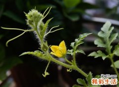 好听的四字网名，最新有个性的四字昵称