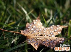 好听的网络名字，最新有个性的网络网名