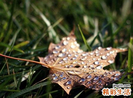 好听的网络名字，最新有个性的网络网名