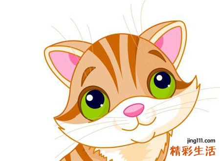 梦见被猫追有什么预兆，女人梦见被猫追着攻击