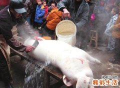 梦见自己杀猪好不好，做梦梦到杀猪猪跑了