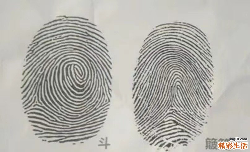 手上全是簸箕的女人命好吗 双手簸箕的女人命运如何