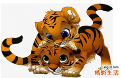 2010年属虎的是什么命 2010年属虎的几月出生最好命