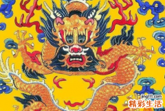 1988年属什么生肖的命 1988年出生的今年多大了
