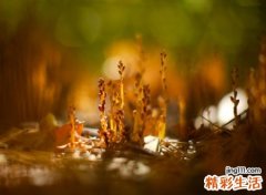 好听的二字网名，最新有个性的二字昵称