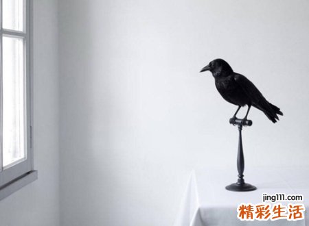 三个字的男生网名，最新好听的三个字男生昵称