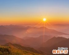 属狗的和什么属相最配、相克 属狗的几月出生最好命