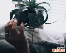 属虎的最怕的三个生肖 生肖虎的相克属相