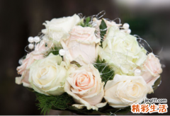 属马女最佳婚配 生肖马的女人一生婚姻和命运如何