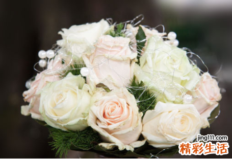 属马女最佳婚配 生肖马的女人一生婚姻和命运如何