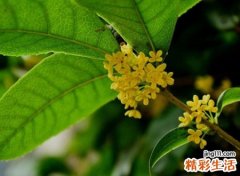 2个字的网名大全，最新霸气2个字昵称