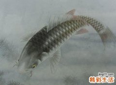 梦见好多鱼有什么寓意，女人梦见好多鱼在水里游