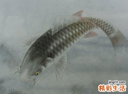 梦见好多鱼有什么寓意，女人梦见好多鱼在水里游