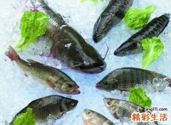 梦见别人买鱼有什么寓意，做梦梦到别人买了好多鱼