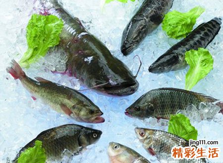 梦见别人买鱼有什么寓意，做梦梦到别人买了好多鱼