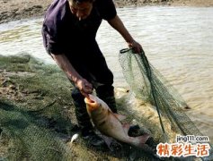 梦见鱼吃人有什么寓意，做梦梦到别人被大鱼吃掉
