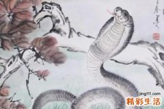 属蛇的和什么属相最配、相克 属蛇的人的性格