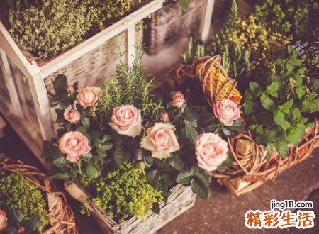 土豪网名，最新好听的土豪昵称
