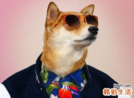 梦见狗咬预示什么，做梦梦到狗咬自己是好事吗