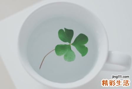 虎男蛇女配婚姻好不好 虎男配什么生肖女好