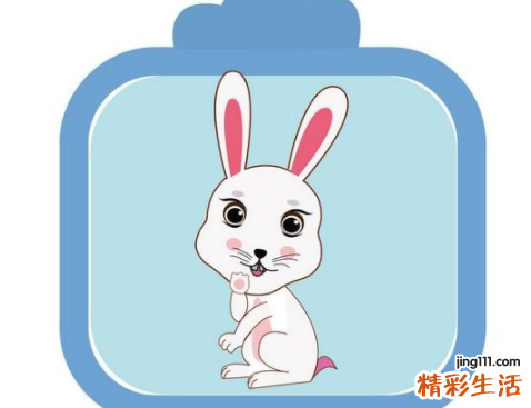 2011年属什么生肖兔 2011年属兔是什么命