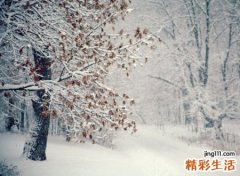 网络qq名字，最新好听的网络qq网名
