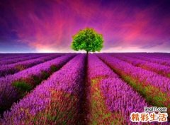 网名霸气，最新好听的霸气昵称