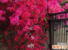 相册名字，最新好听的相册昵称