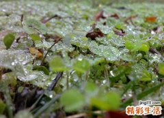 梦见下雨好不好，已婚女人梦见下雨好吗