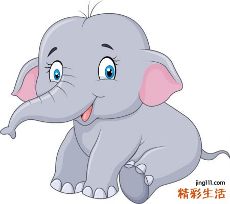 梦见大象好不好，已婚女人梦见大象