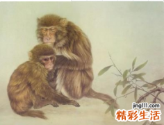 属猴和属猪的婚姻如何 属猴男人和属猪女人相配吗