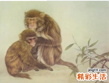 属猴和属猪的婚姻如何 属猴男人和属猪女人相配吗