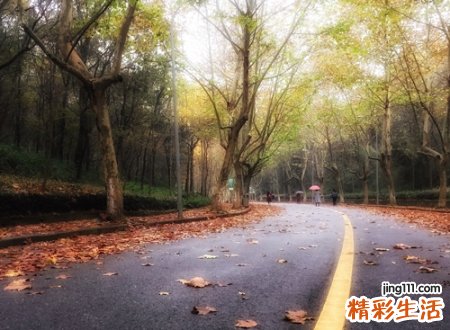 谐音网名，最新好听的谐音昵称
